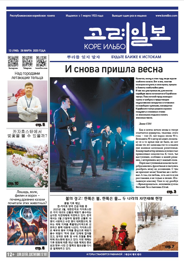 газета