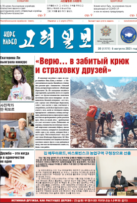 газета